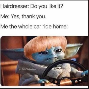 Meet your Posher, Shamitris